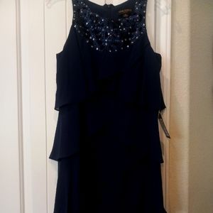 Ignite Evenings New York Dress Size 10